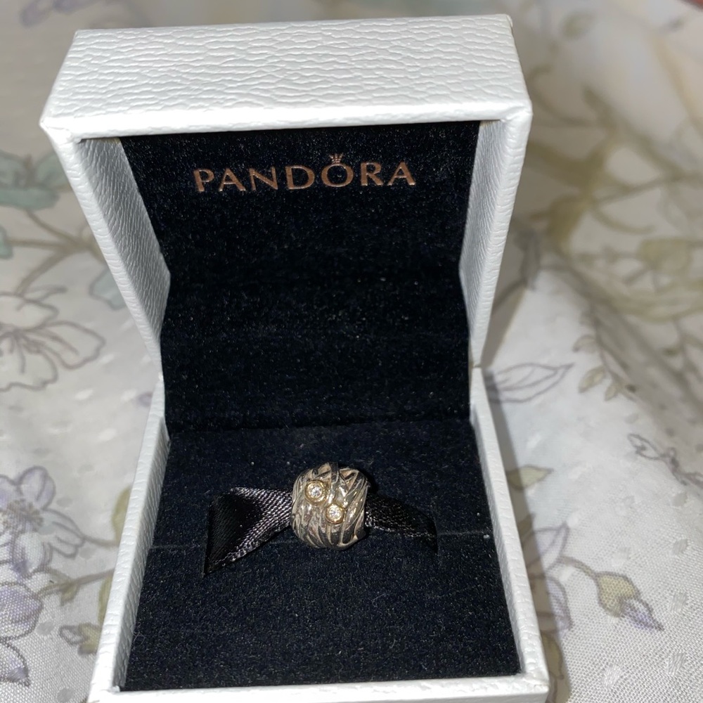 Pandora charm